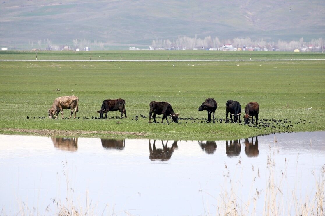 Bakanlıktan Adıyamanlı Bahar Paylaşımı3