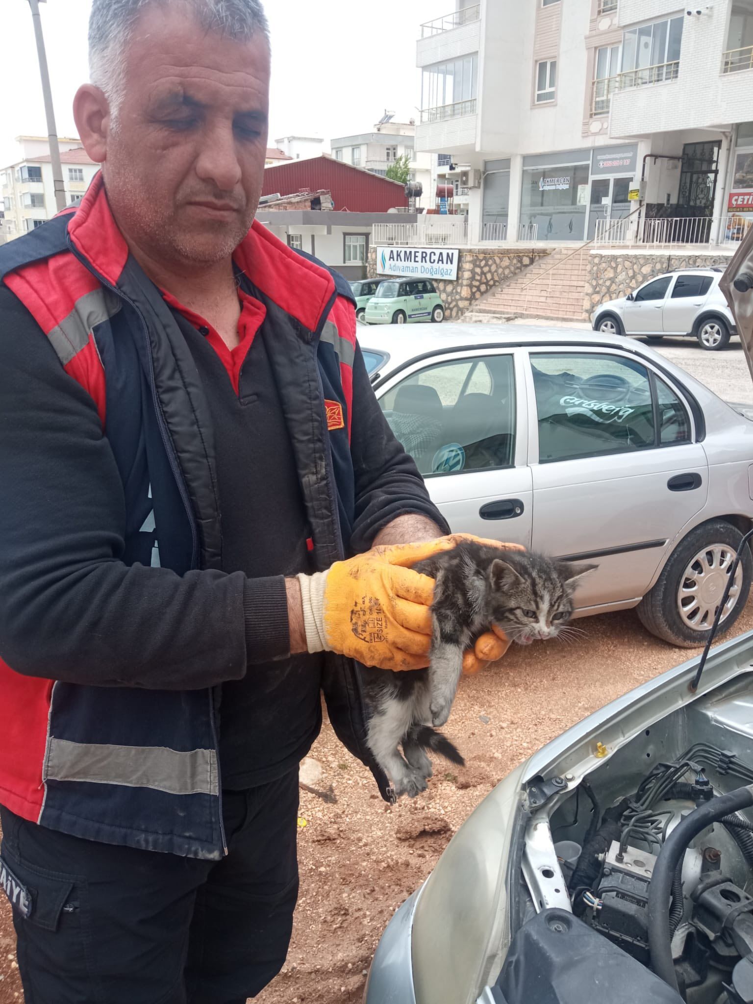 Besni’de Araç Motoruna Sıkışan Yavru Kedi Kurtarıldı1