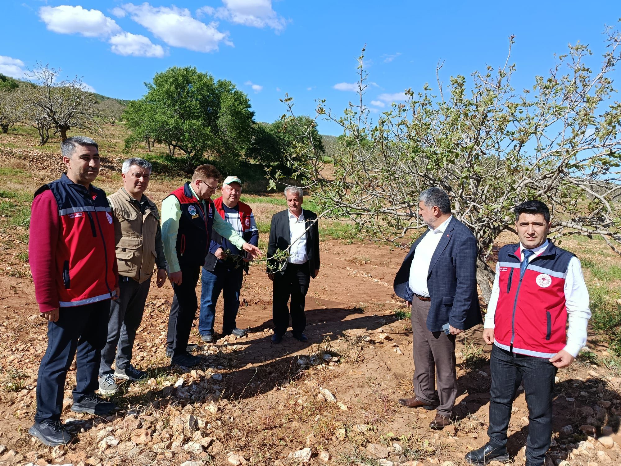 Besni’de Dolu Zararı Yerinde İncelendi (3)