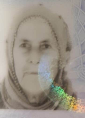Elif Özelçi