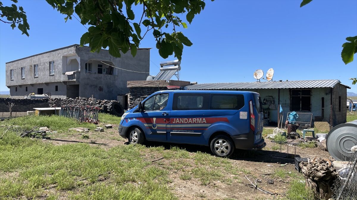 Şanlıurfa'da Yılanı Vurmak Isteyen Kişi 5 Kişiyi Yaraladı