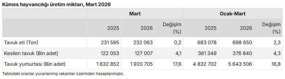 Tavuk Yumurtası Üretiminde Büyük Artış
