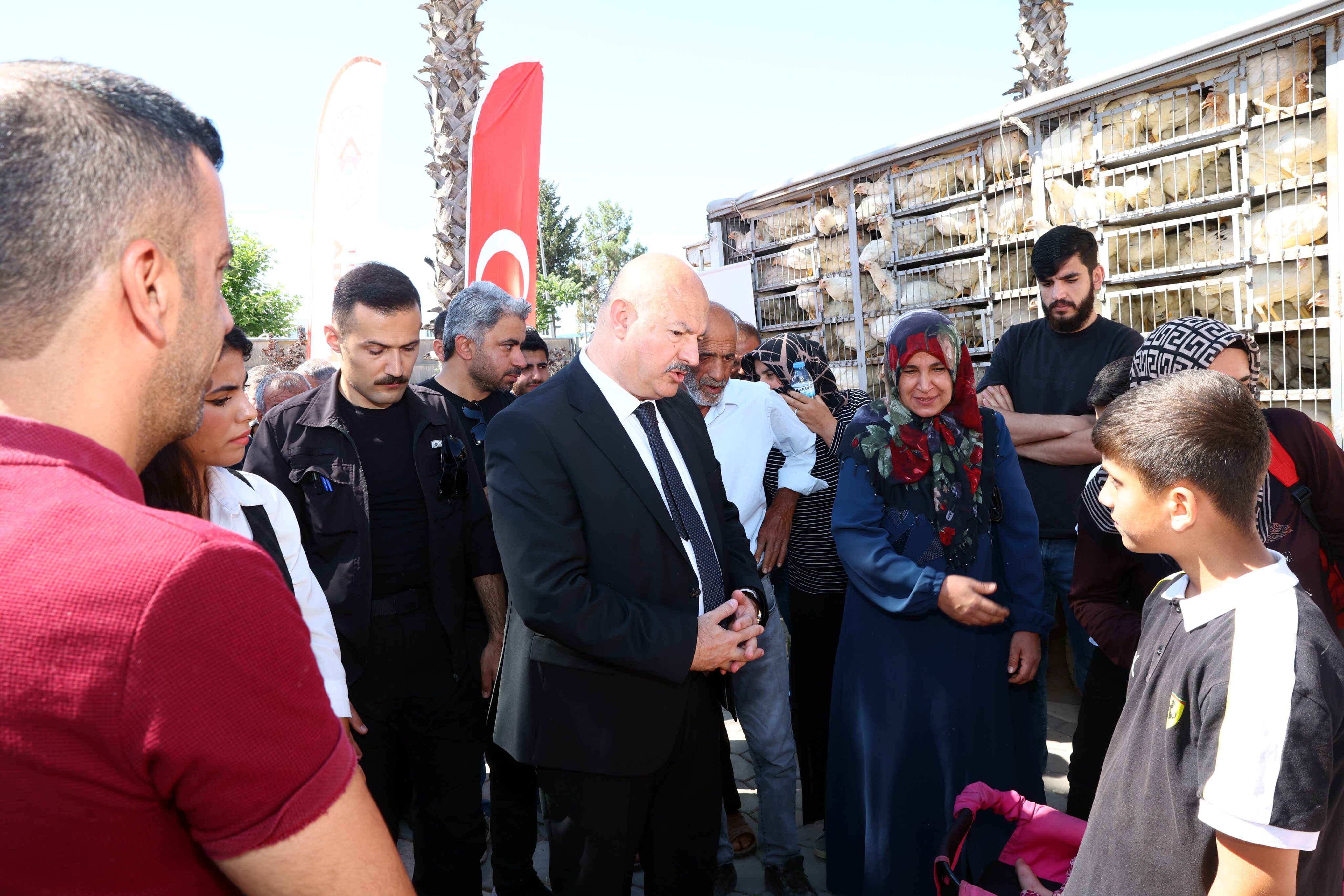 Adıyaman Tavuk Dağıtımı3