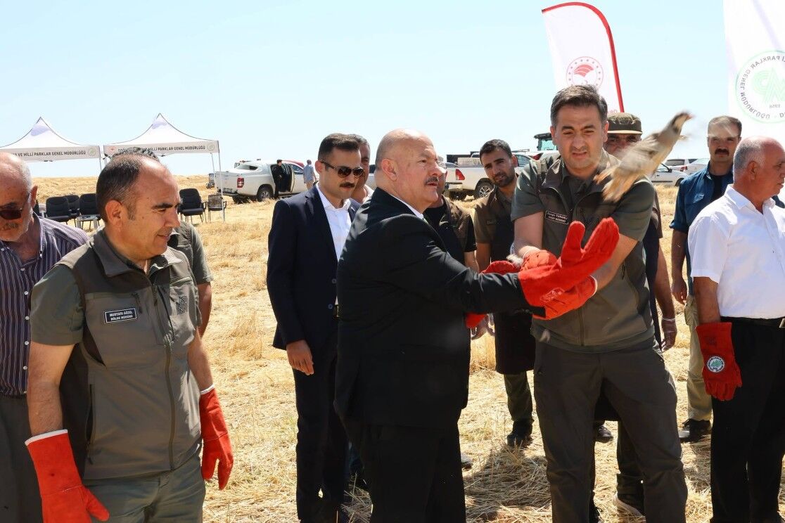 Adıyaman'da 1000 Keklik Doğaya Salındı