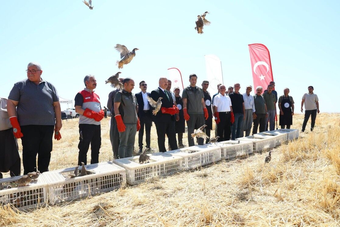 Adıyaman'da 1000 Keklik Doğaya Salındı2