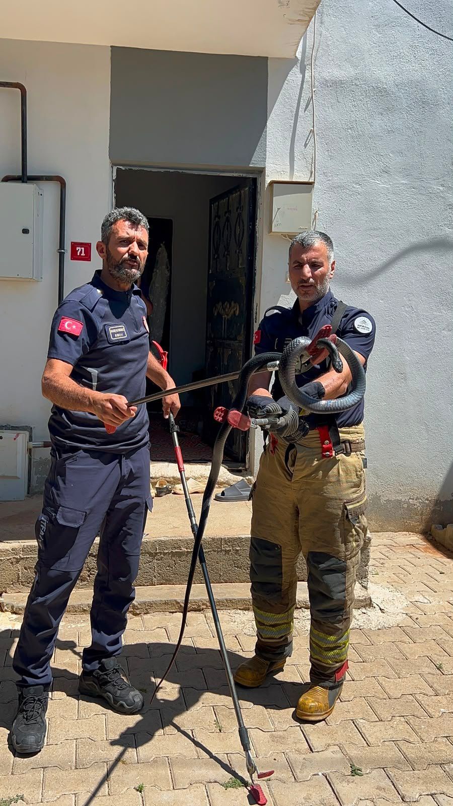 Adıyaman'da 4 Yıllık Yılan Kâbusu Sona Erdi
