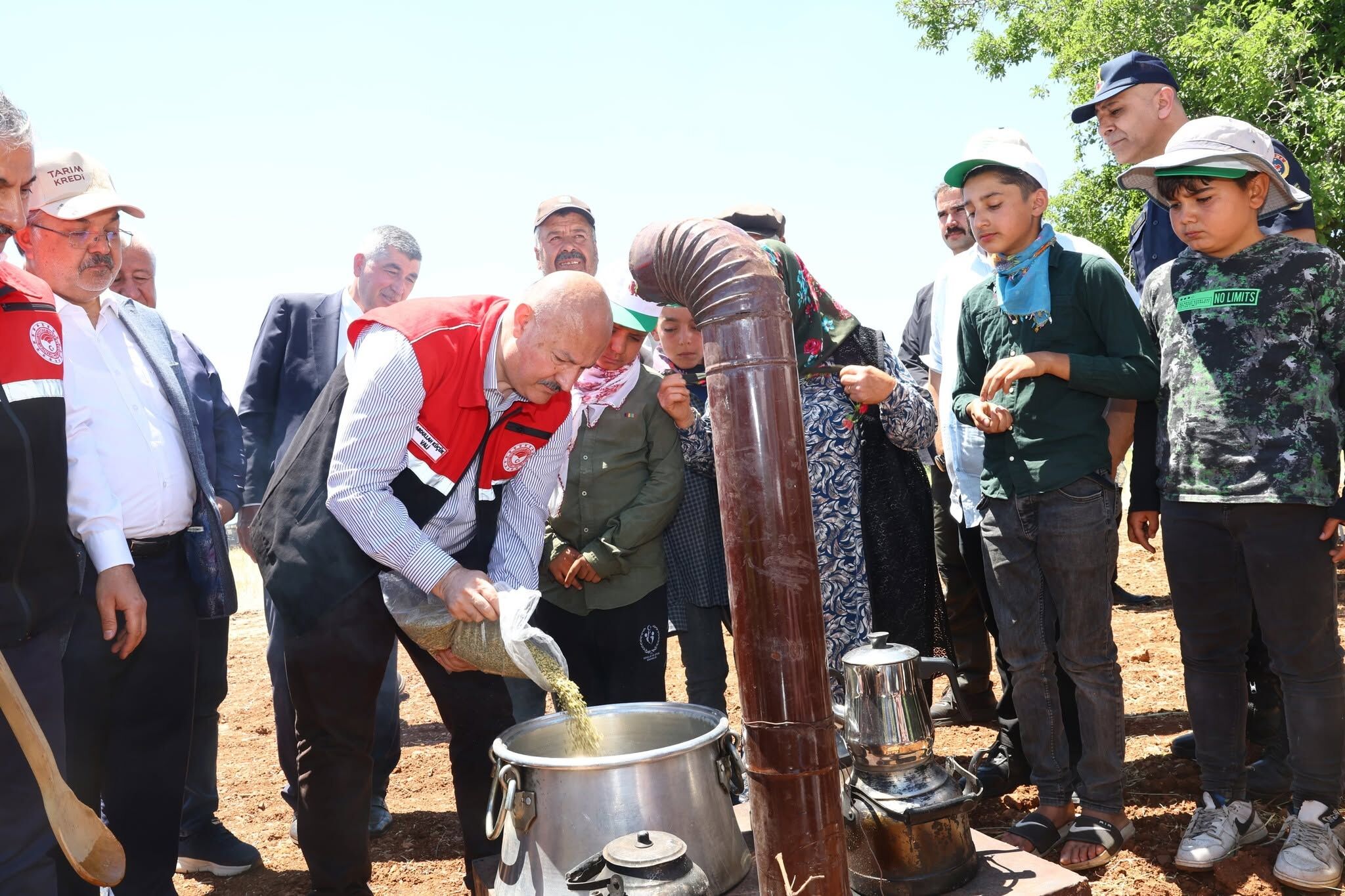Belören'de Asırlık Firik Hasadı Başladı (1)