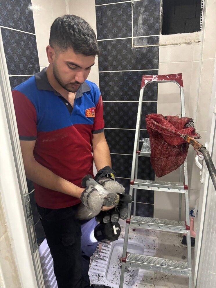 Besni İtfaiyesi Mahsur Kalan Güvercini Kurtardı