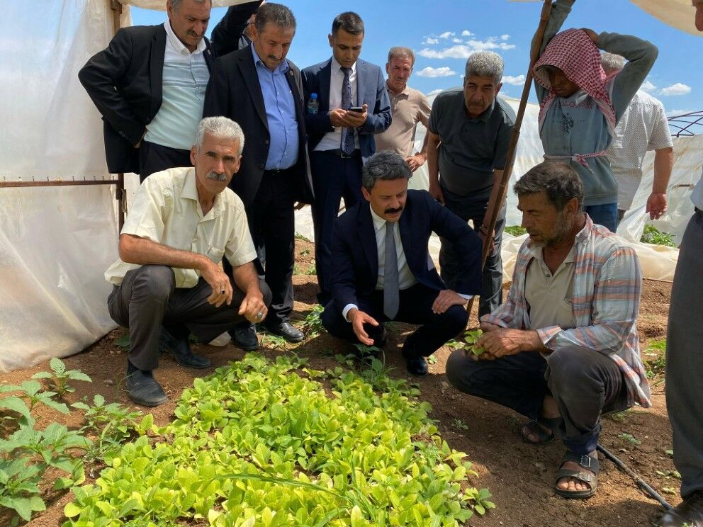 Besni Kaymakamı Tütün İşçilerini Ziyaret Etti1