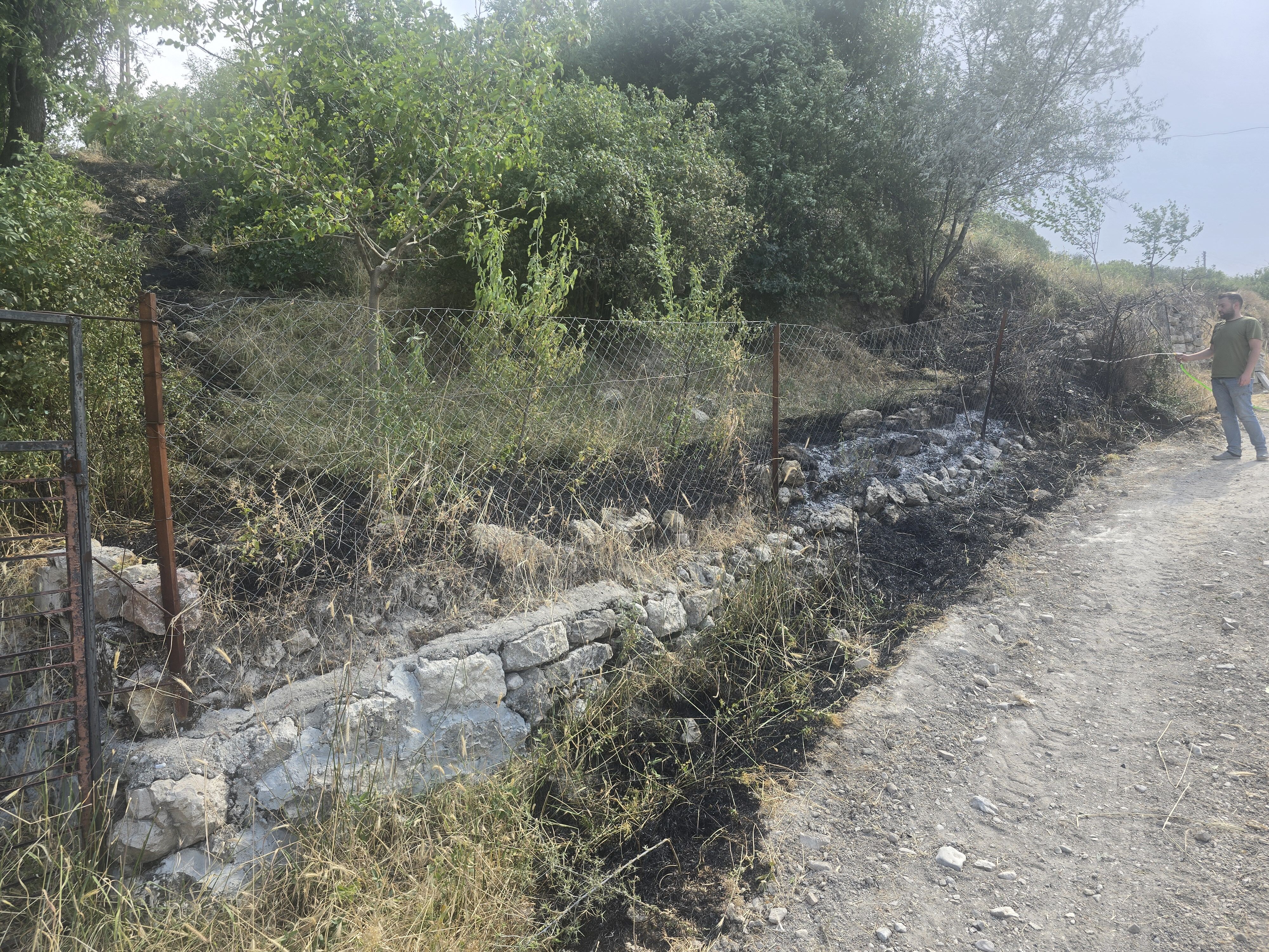 Besni'de Meyve Bahçesinde Yangın Paniği (2)