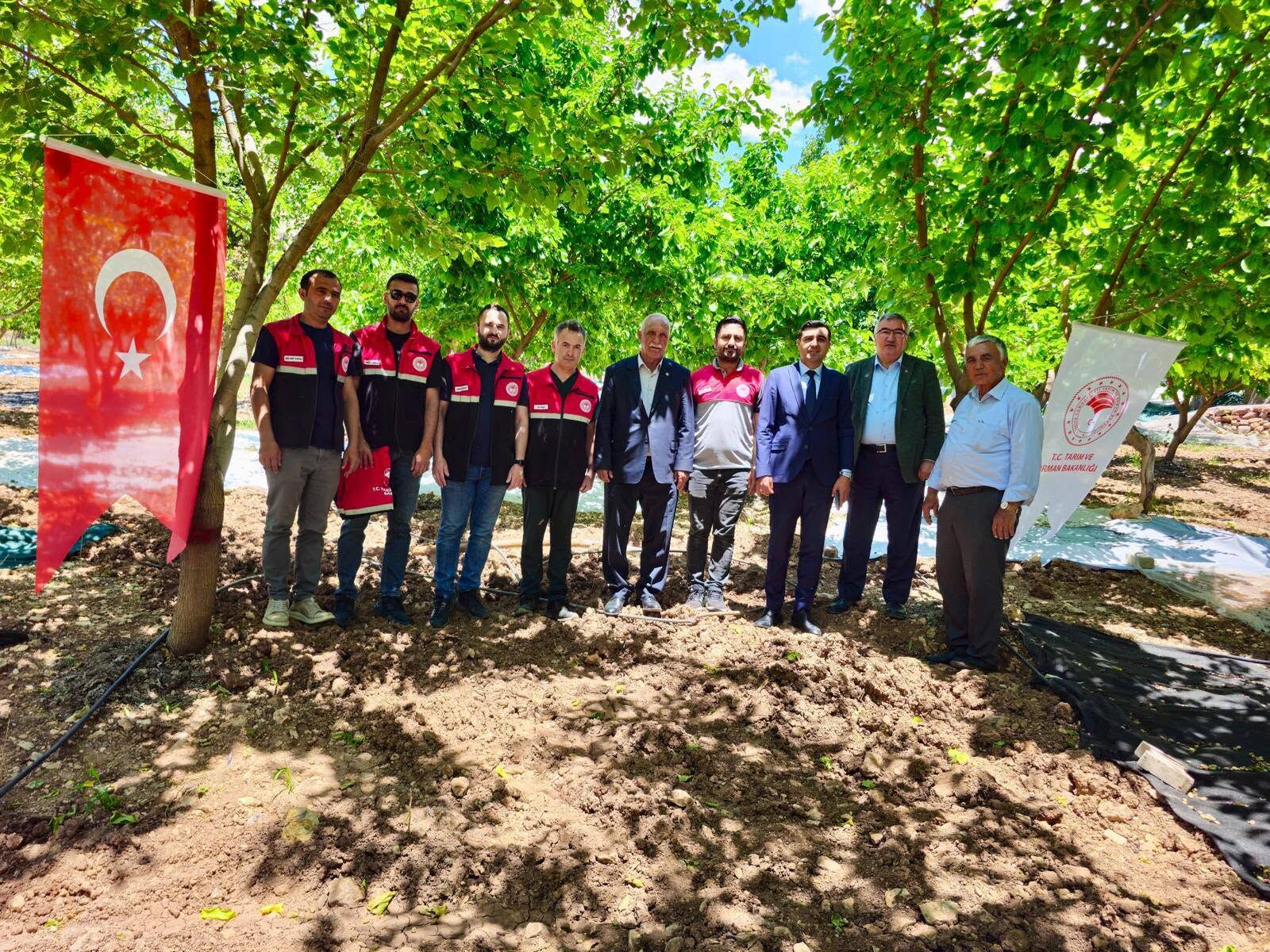 Coğrafi İşaretli Tut Dutu İçin Hasat Sezonu Başladı2