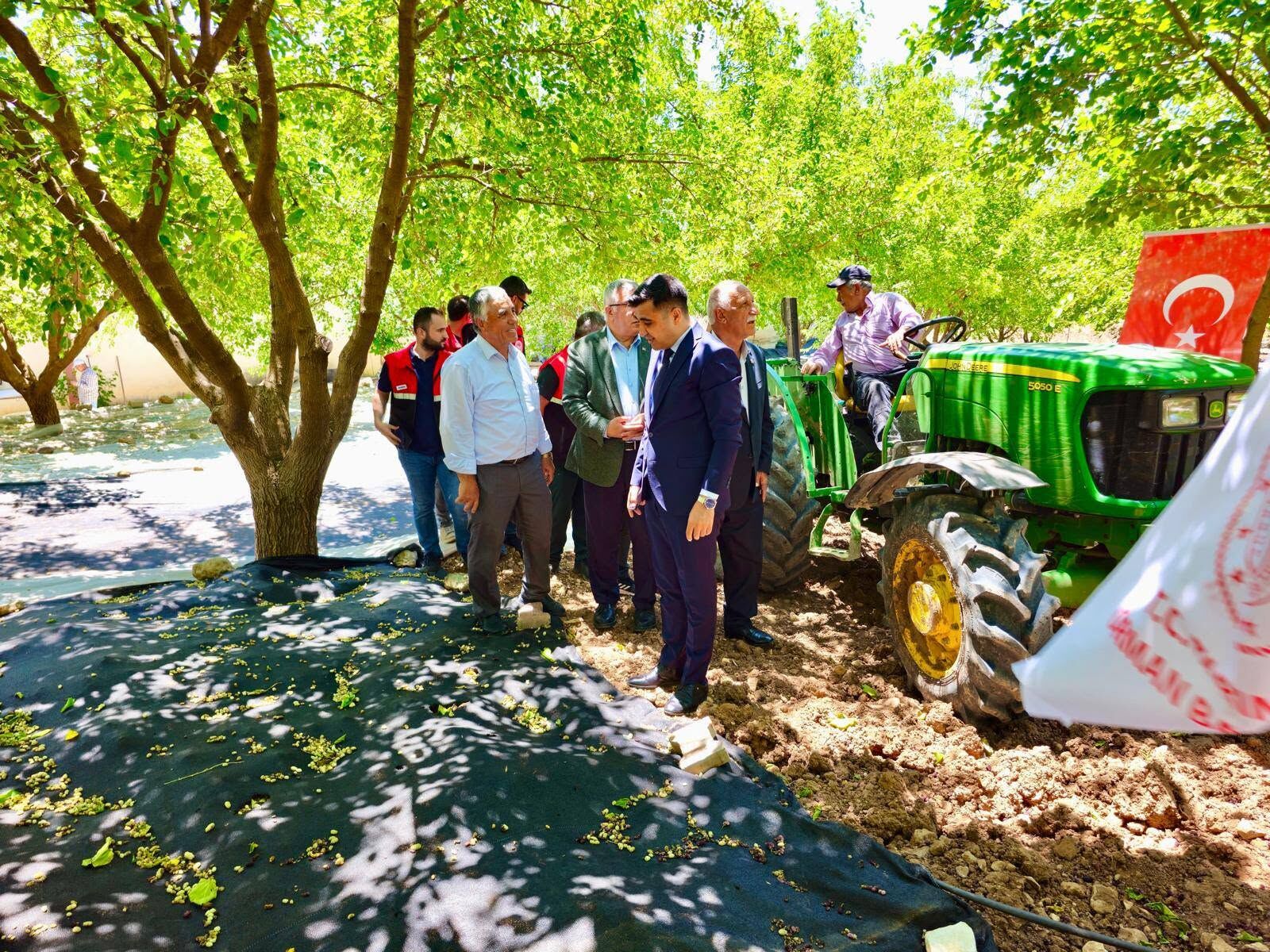 Coğrafi İşaretli Tut Dutu İçin Hasat Sezonu Başladı5