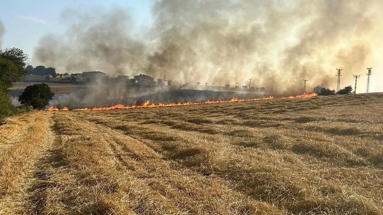 İtfaiyeden Çağrı Bu Yıl Anız Yakmayın4
