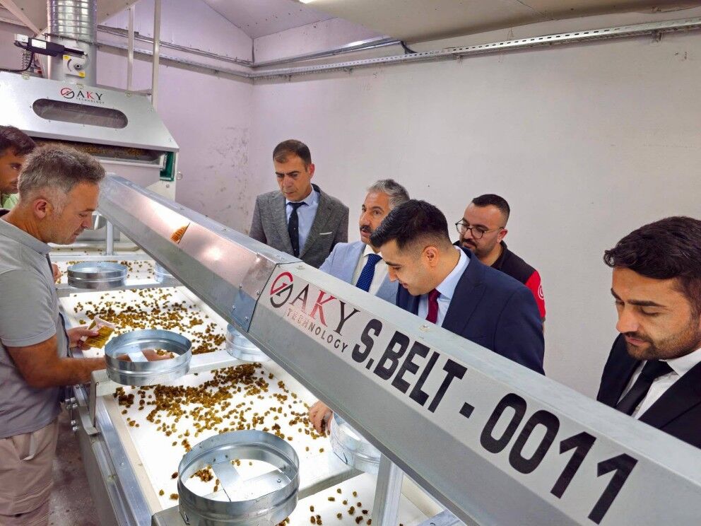 Tut'ta Dut Sezonunun İlk Hasadı Yapıldı2