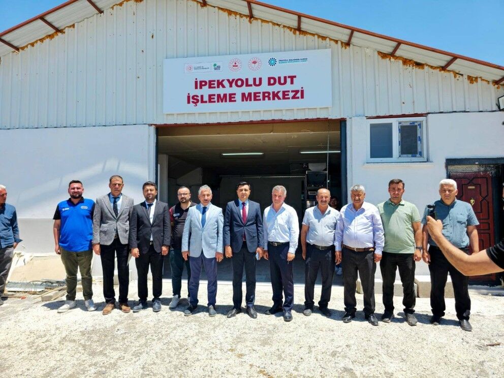 Tut'ta Dut Sezonunun İlk Hasadı Yapıldı3