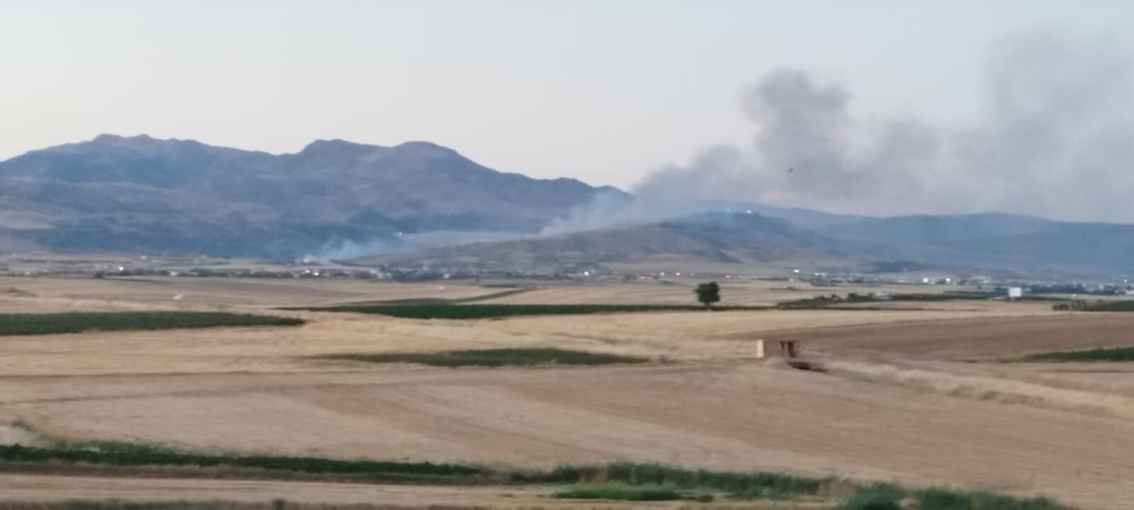 Adıyaman'da Orman Yangını Büyüyor, Rüzgârla Savaşılıyor4