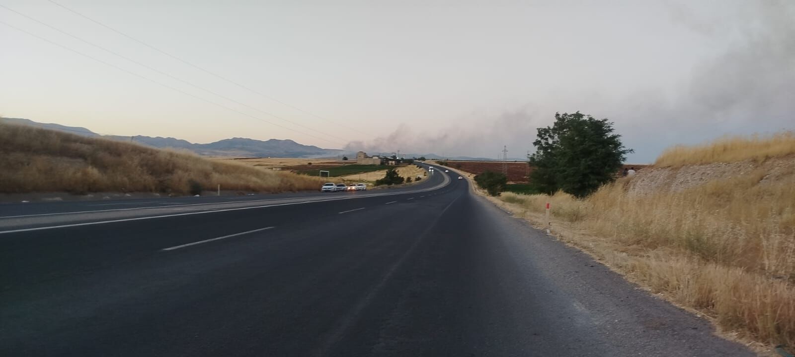 Adıyaman'da Orman Yangını Büyüyor, Rüzgârla Savaşılıyor5