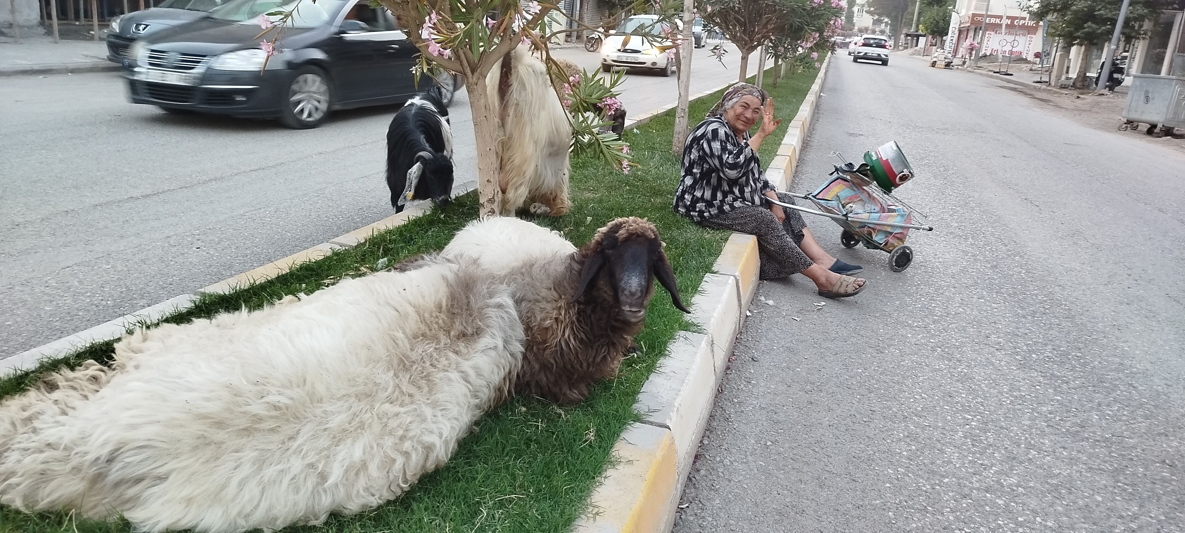 Diyorlar Ki Sen Delisin... İsmet Abla, Hiç Bu Kadar Sevilir Mi