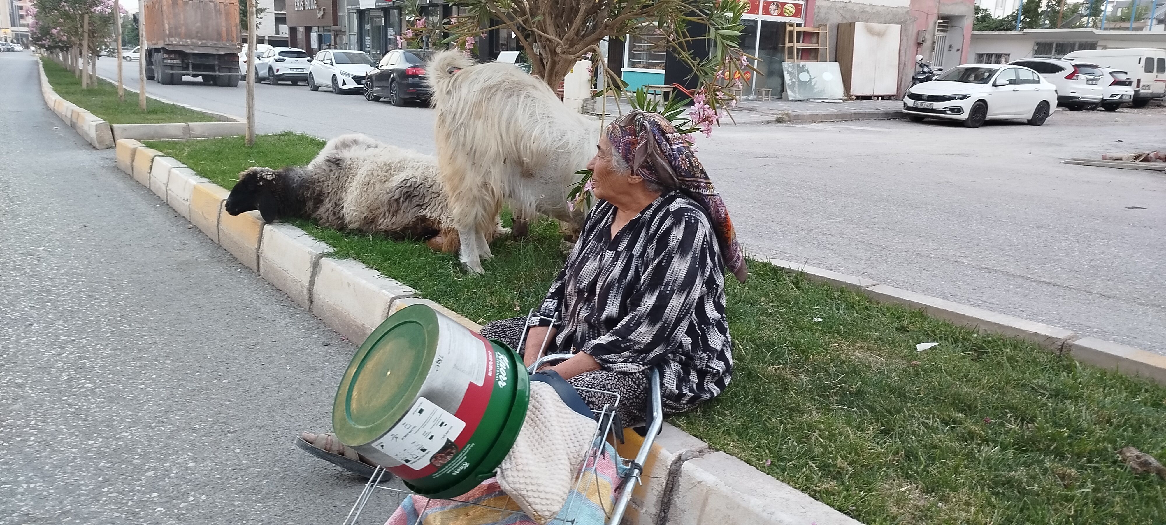 Diyorlar Ki Sen Delisin... İsmet Abla, Hiç Bu Kadar Sevilir Mi2
