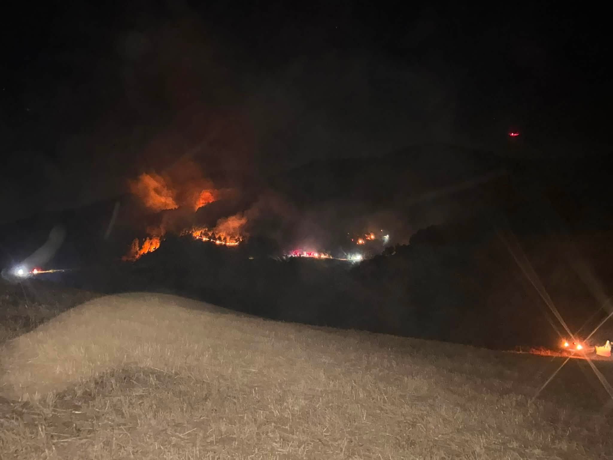 Sincik'te Orman Yangını 9 Saatte Kontrol Altına Alındı