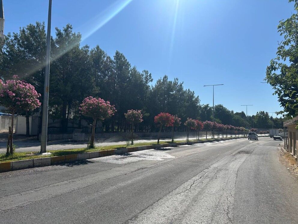 Adıyaman’a 4 Bin Yeni Ağaç Kazandırılıyor1