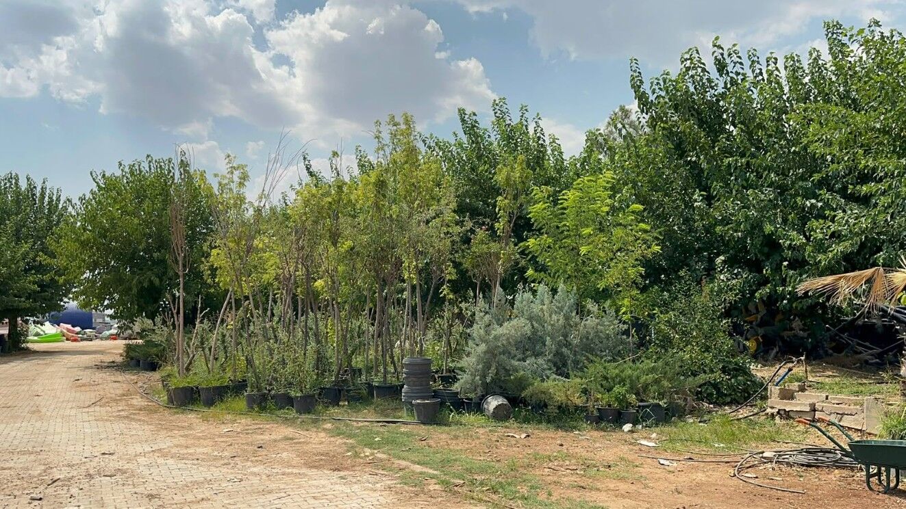 Adıyaman’a 4 Bin Yeni Ağaç Kazandırılıyor2