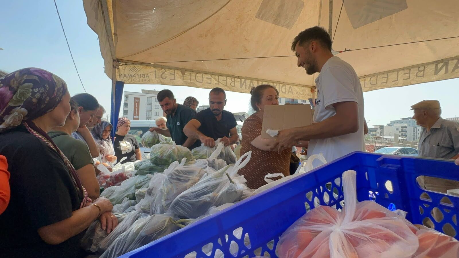 Adıyaman’da Belediyenin Ürettiği Yaz Sebzeleri Tezgâhlarda (2)