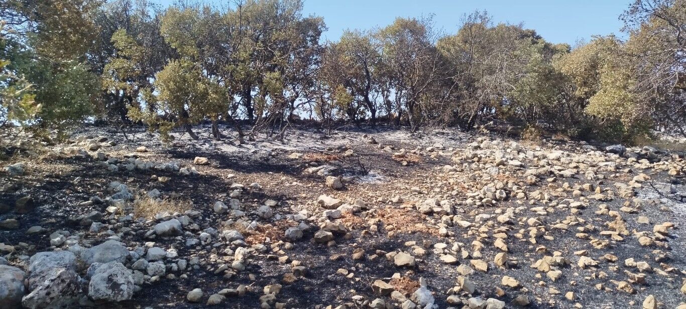 Besni Yangın (1) (Orta)-1