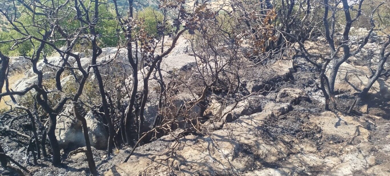 Besni Yangın (1) (Orta)