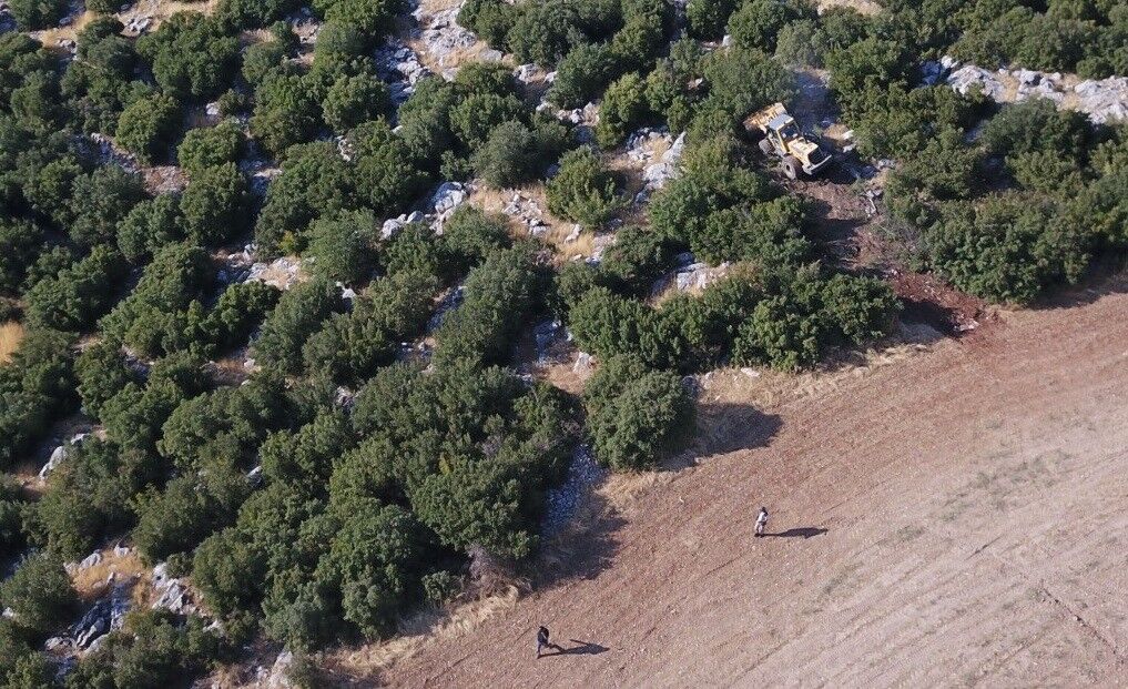 Besni’de Orman Yangını Yeniden Alevlendi 3 Bölgede Müdahale Sürüyor6