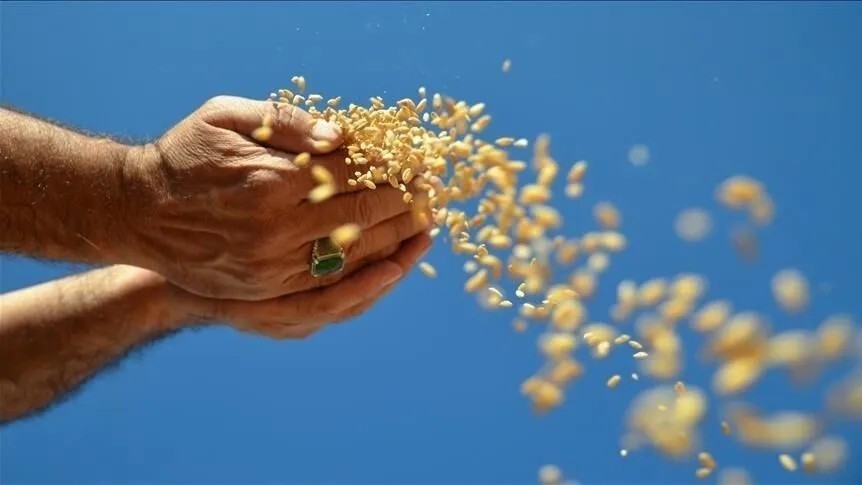 Hububat Ve Gıda İhracatımız 6,9 Milyar Dolara Ulaştı1