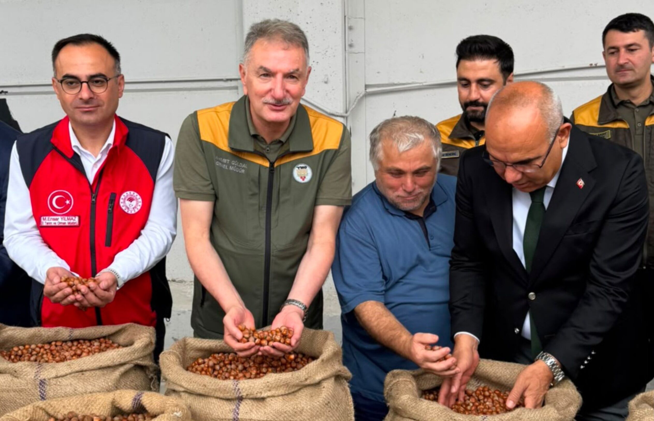 Tmo Findik Alimlari