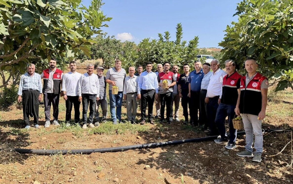 Tut Kaymakamı Bağış Sezonun İlk İncirlerini Topladı1