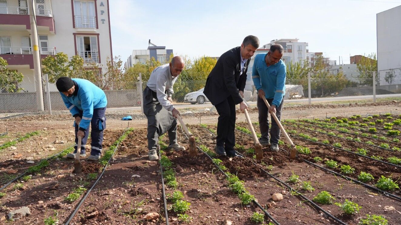 Adıyaman Belediyesi’nden Sofralara Uygun Fiyatlı Üretim3