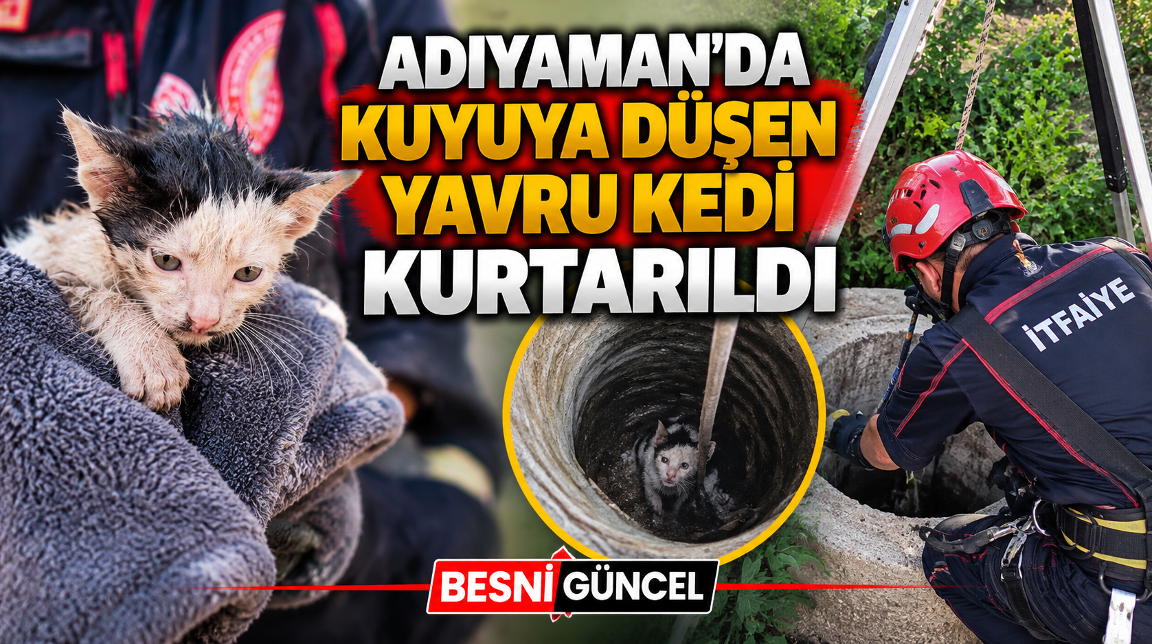 Adıyaman’da Kuyuya Düşen Yavru Kedi Kurtarıldı