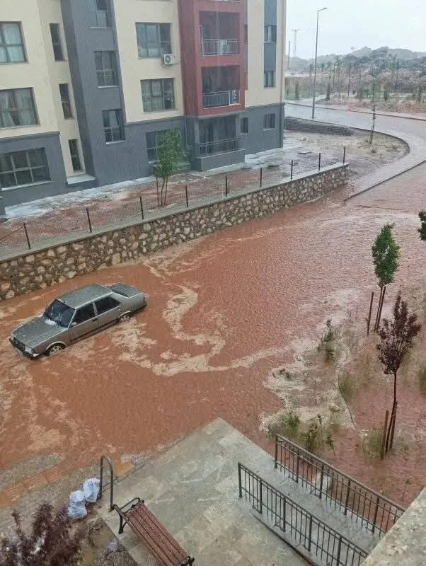 Besnili Afetzede Çiftçinin Gözü Cumhurbaşkanı Erdoğan’da3