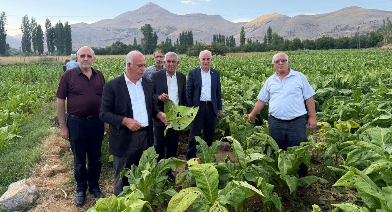 Çelikhan’da Dolu Yağışı Tütün Üreticilerini Vurdu