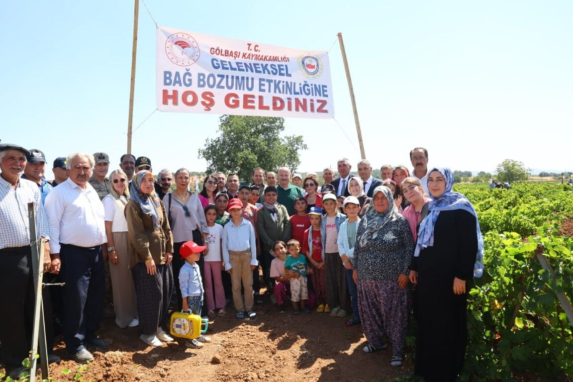 Gölbaşı’nda Bağ Bozumu Heyecanı Başladı Peygamber Üzümünde Hasat Zamanı (3) (Orta)