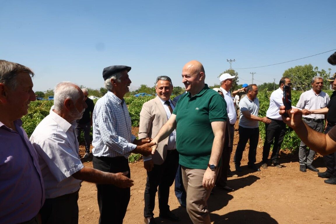 Gölbaşı’nda Bağ Bozumu Heyecanı Başladı Peygamber Üzümünde Hasat Zamanı (4) (Orta)