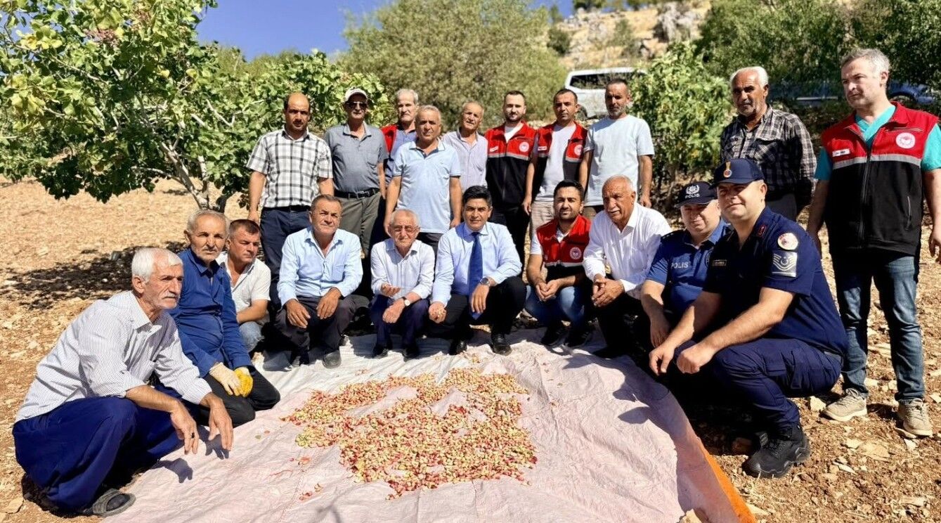 Tut’ta 45 Bin Dekarda Fıstık Hasadı Başladı1