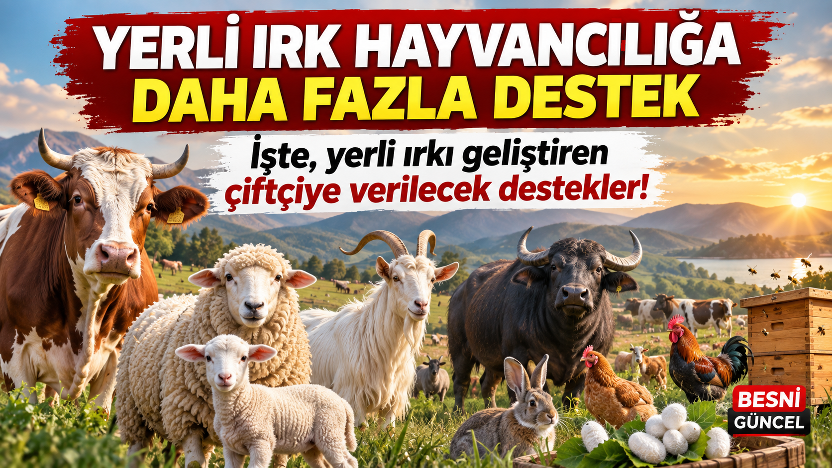 Yerli Irk Hayvancılığa Daha Fazla Destek