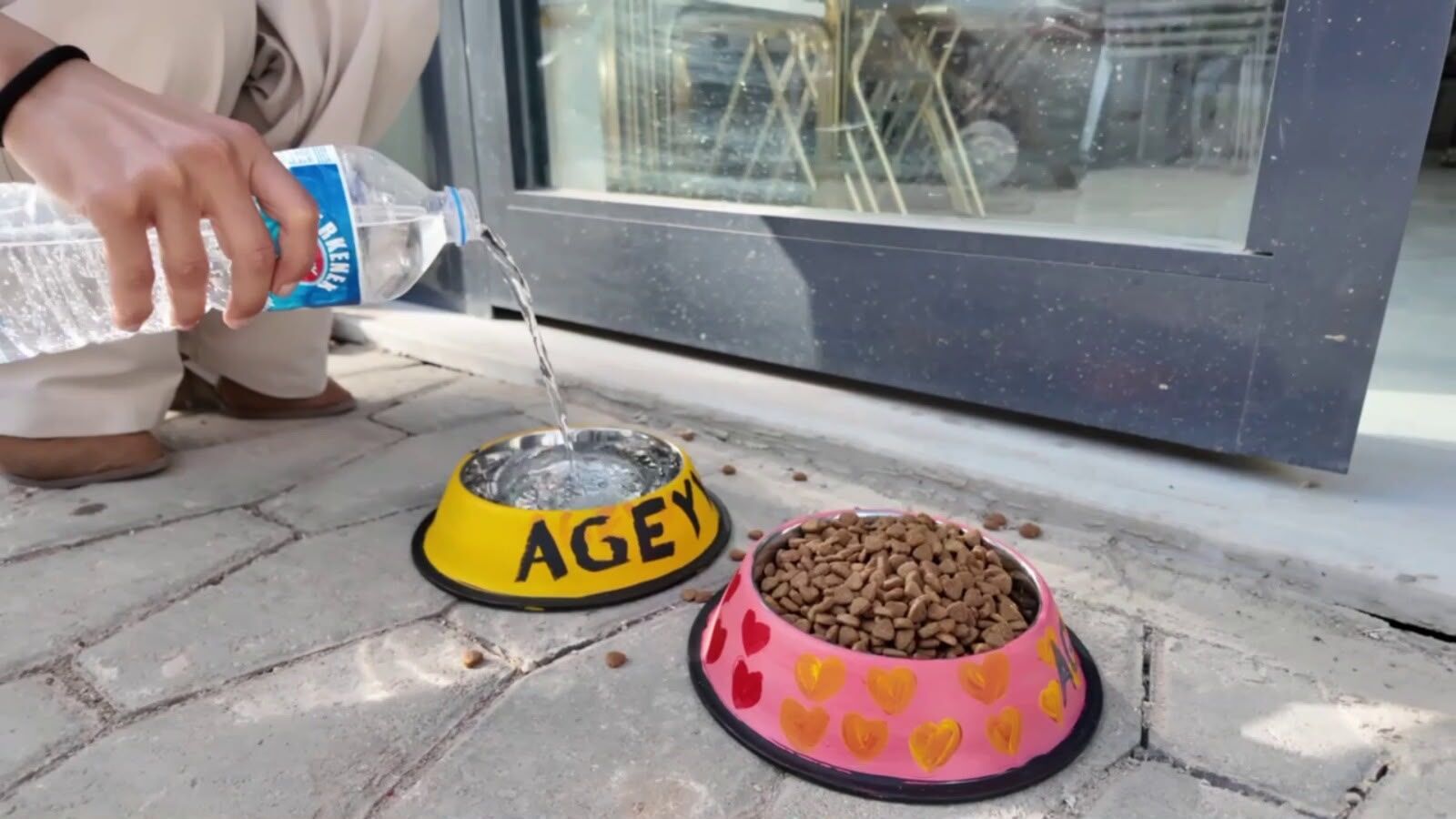 4 Ekim Öncesi Sokak Hayvanlarına Mama Ve Su Desteği (2)