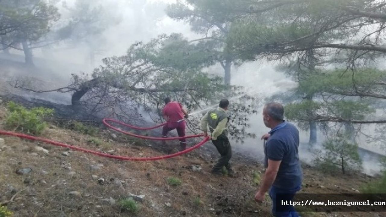 Ormanlık alanda korkutan yangın