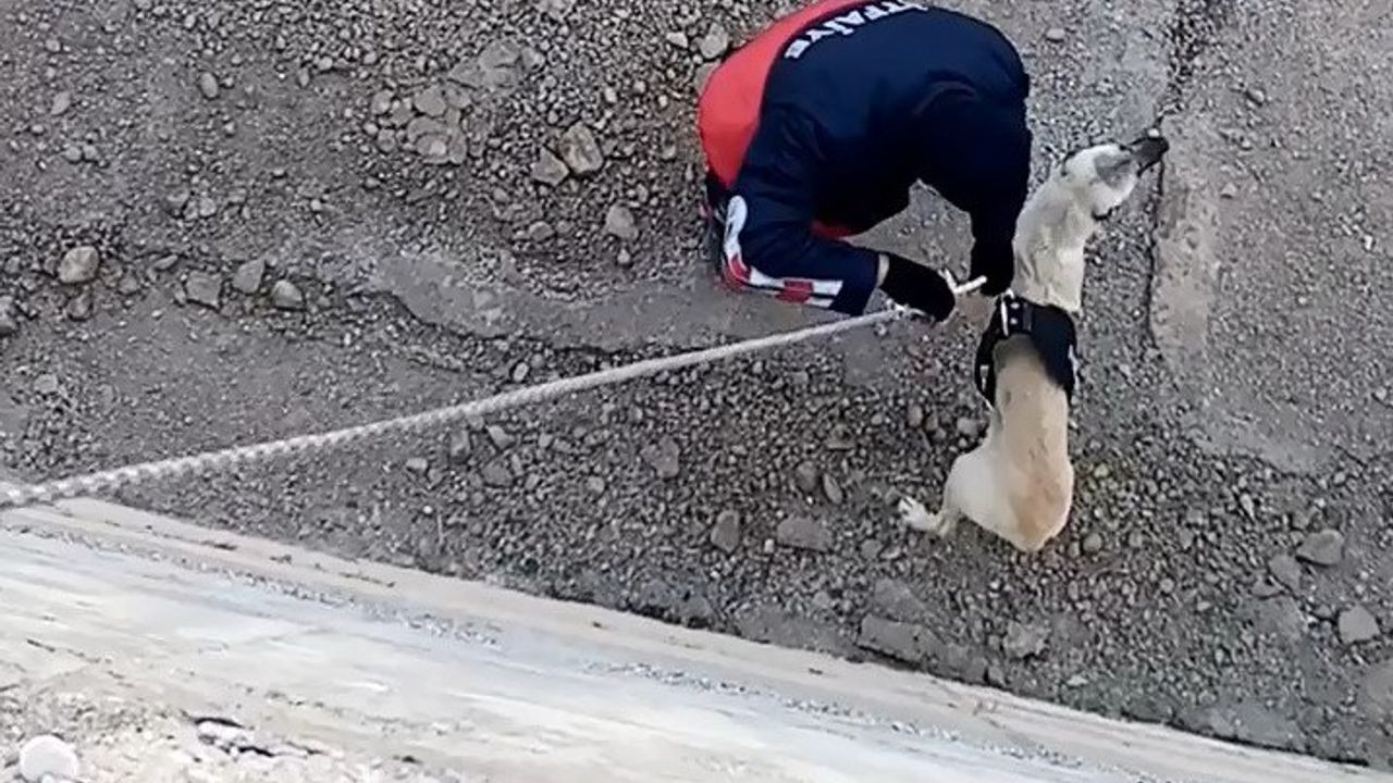 Kanala düşen köpeği itfaiye kurtardı