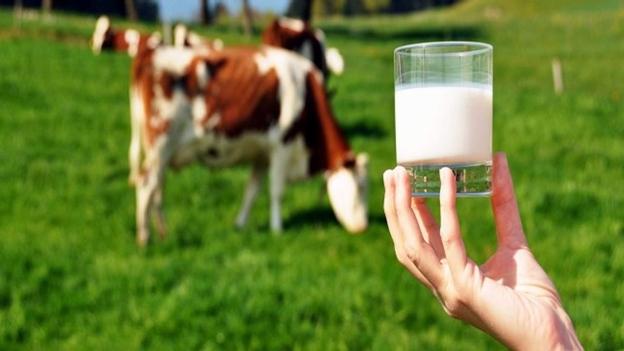 Süt ve Süt Ürünleri Üretimi, Mayıs 2023'te arttı