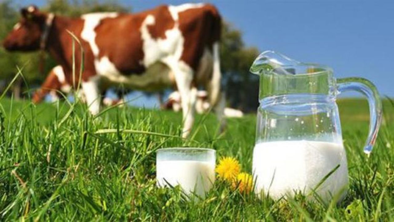 Süt ve Süt Ürünleri Üretimi, Haziran 2023
