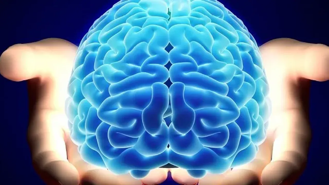 Beynin hangi ilaçla nasıl göründüğünü görüyoruz!