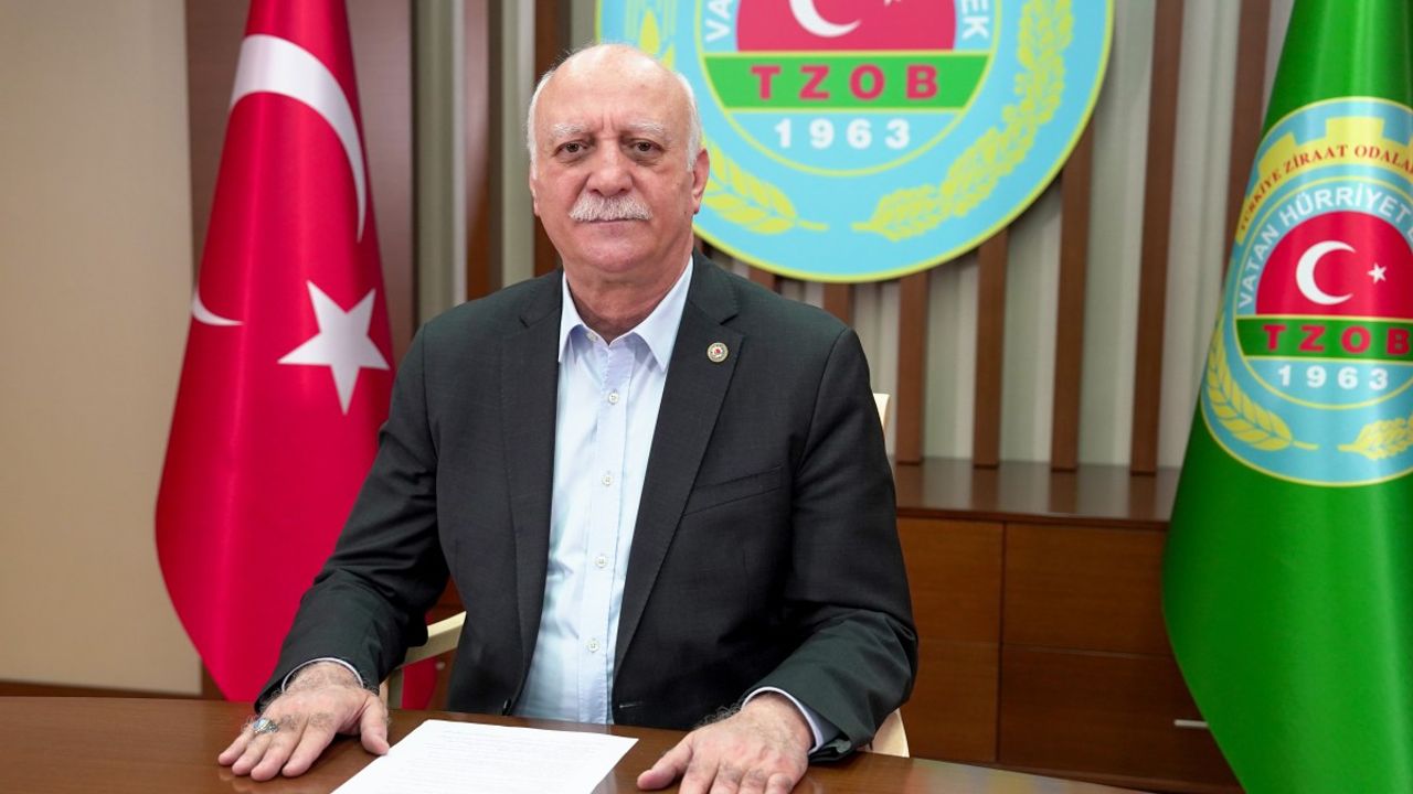 Zeytinyağında taklit ve tağşiş devam ediyor