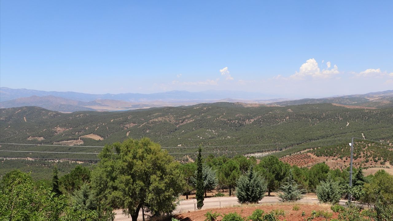 Jjandarma ekipleri orman yangınlarına karşı devriye görevi yapıyor