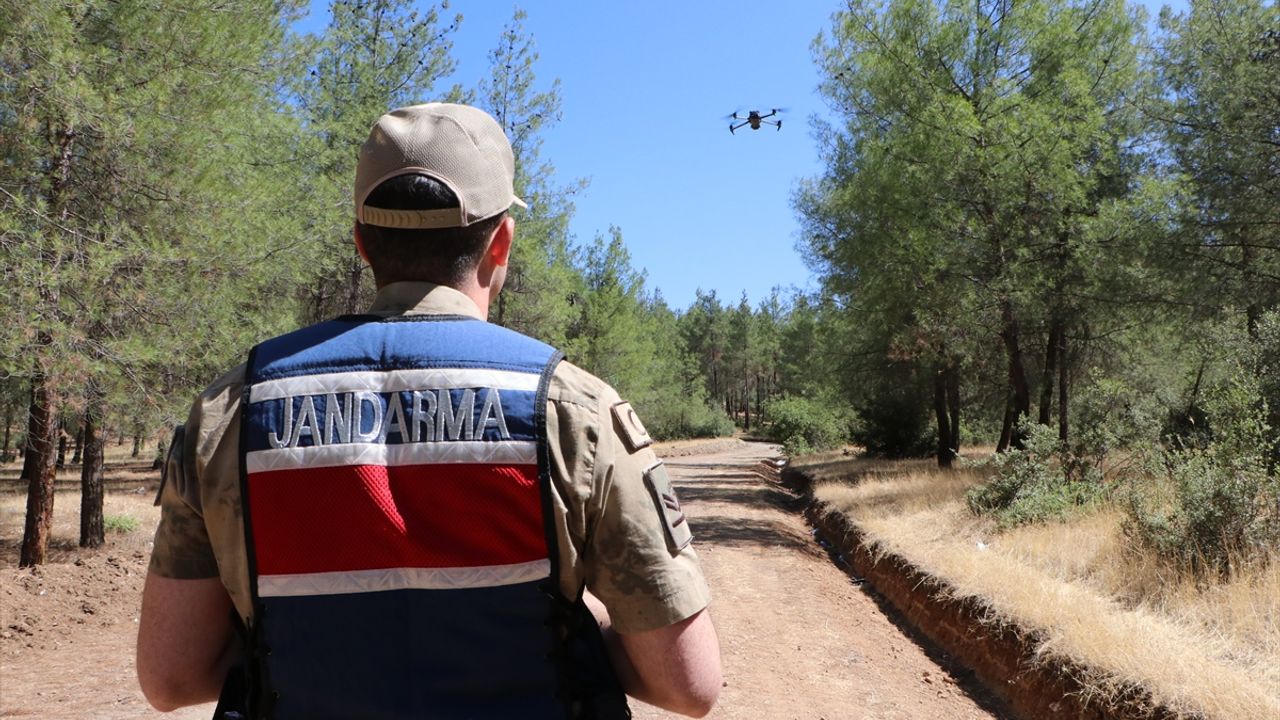 Ormanlar yangınlara karşı jandarma tarafından denetleniyor